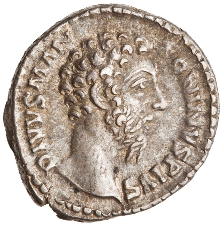 RIC III Commodus 275 (denarius), аверс, American Numismatic Society (ans)