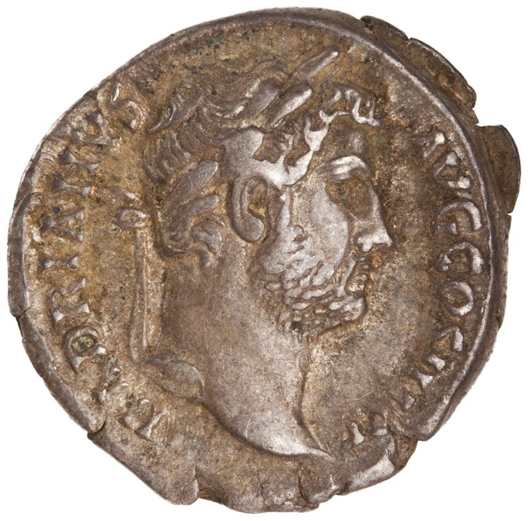 RIC II Hadrian 248d, аверс, American Numismatic Society (ans)