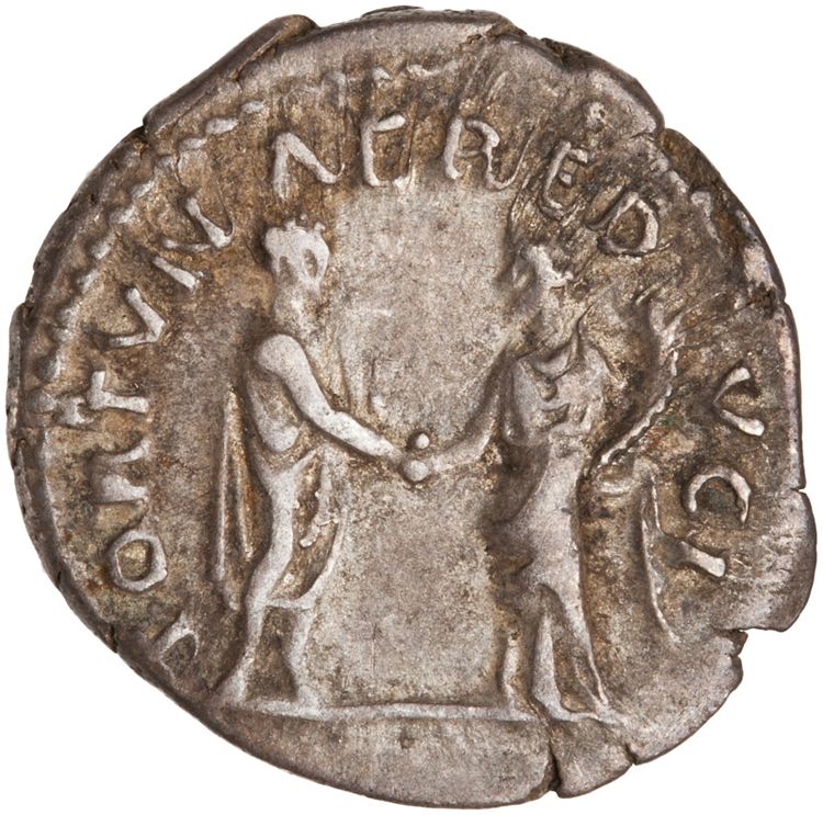 RIC II Hadrian 248d, реверс, American Numismatic Society (ans)