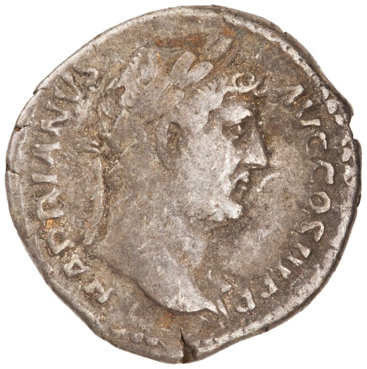 RIC II Hadrian 260e, аверс, American Numismatic Society (ans)