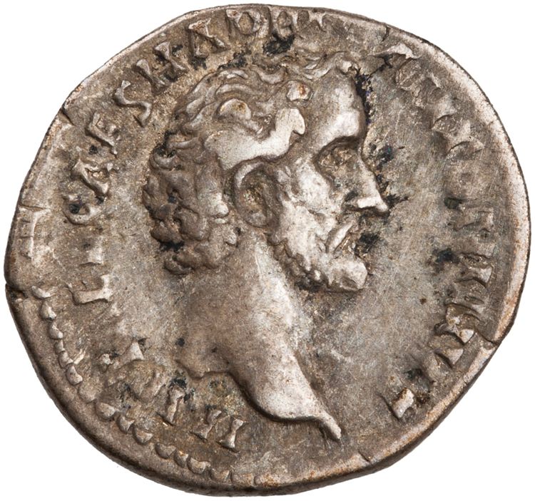 RIC III Antoninus Pius 12a, аверс, American Numismatic Society (ans)