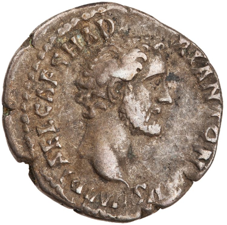 RIC III Antoninus Pius 12a, аверс, American Numismatic Society (ans)
