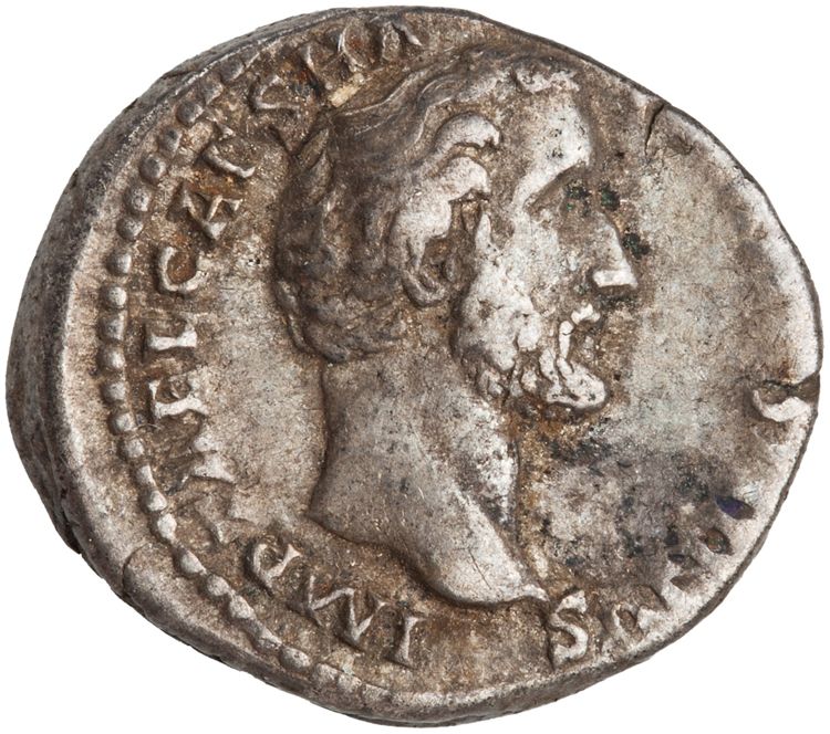 RIC III Antoninus Pius 37, аверс, American Numismatic Society (ans)