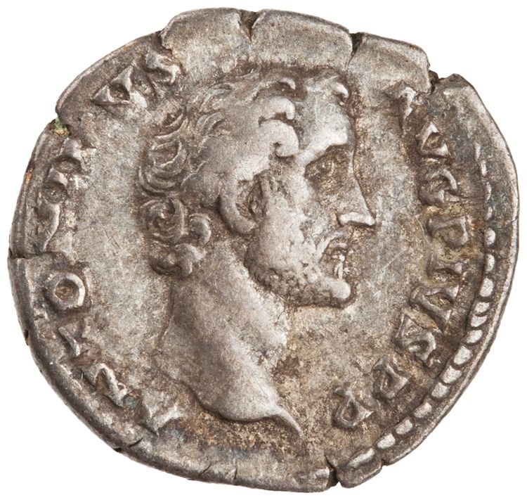 RIC III Antoninus Pius 42, аверс, American Numismatic Society (ans)