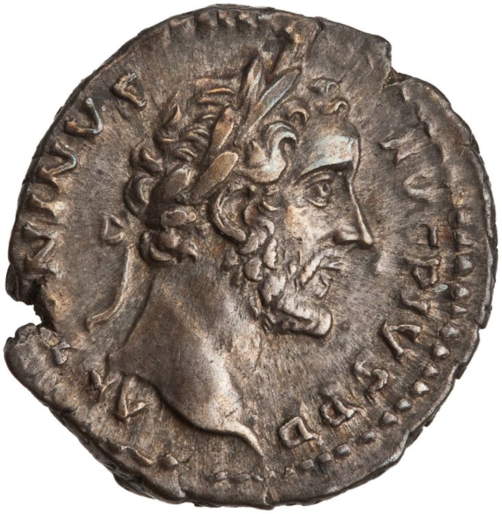 RIC III Antoninus Pius 143 (denarius), аверс, American Numismatic Society (ans)