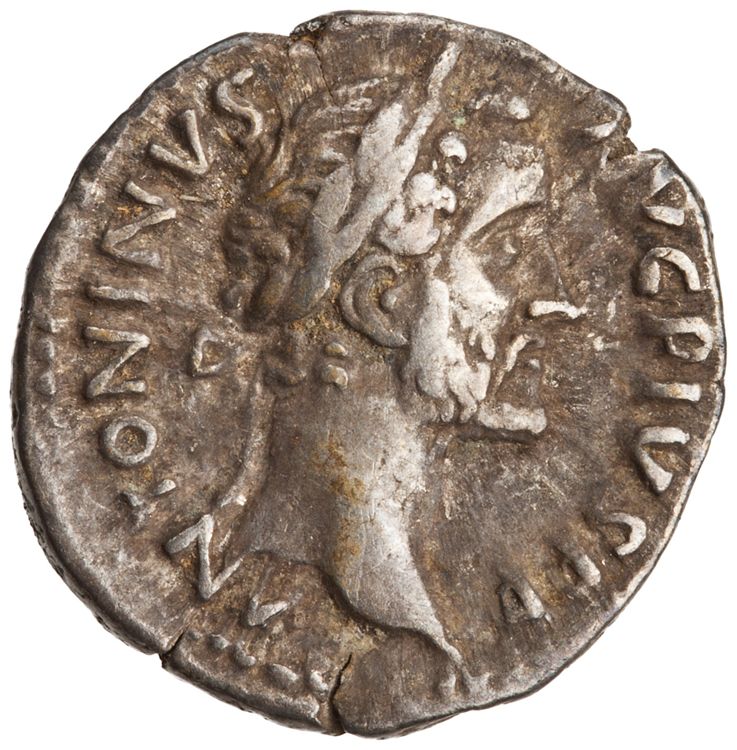 RIC III Antoninus Pius 143 (denarius), аверс, American Numismatic Society (ans)