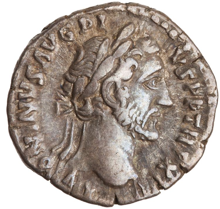 RIC III Antoninus Pius 239, аверс, American Numismatic Society (ans)