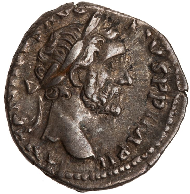 RIC III Antoninus Pius 250, аверс, American Numismatic Society (ans)