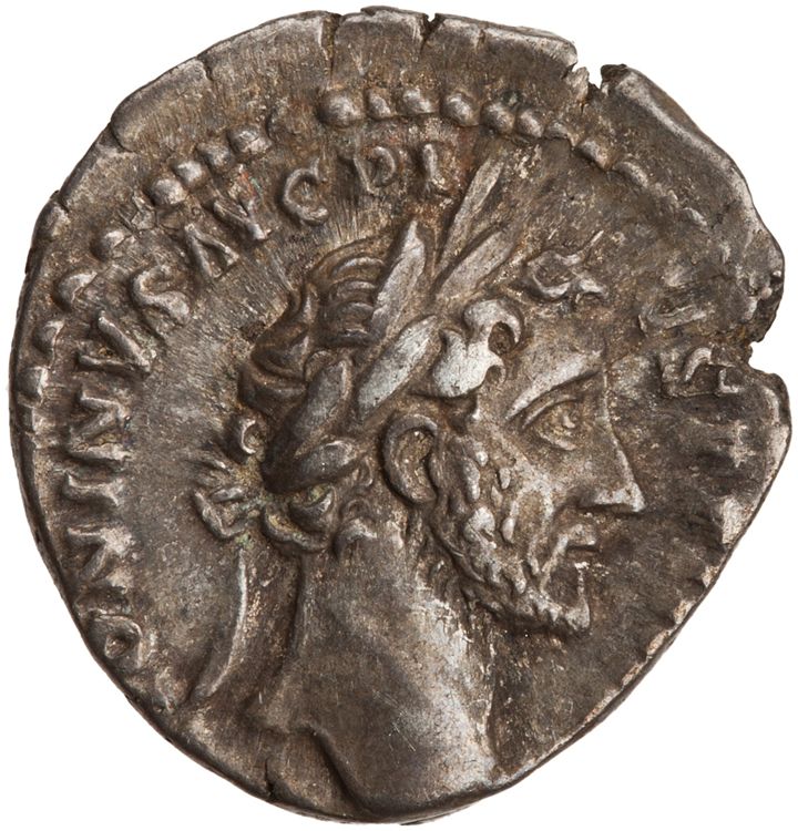 RIC III Antoninus Pius 252, аверс, American Numismatic Society (ans)