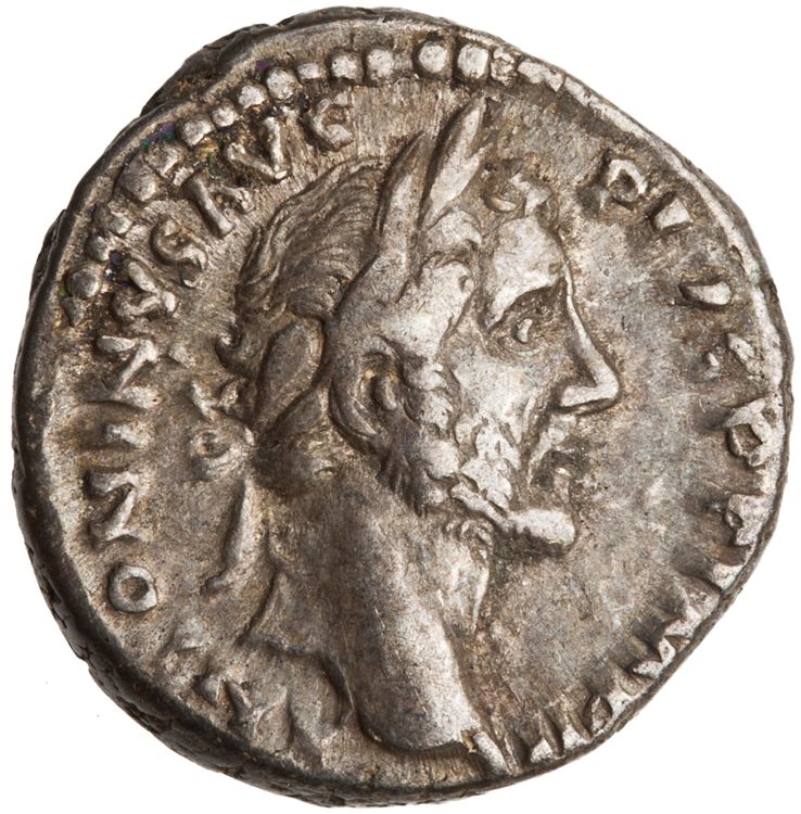 RIC III Antoninus Pius 264, аверс, American Numismatic Society (ans)