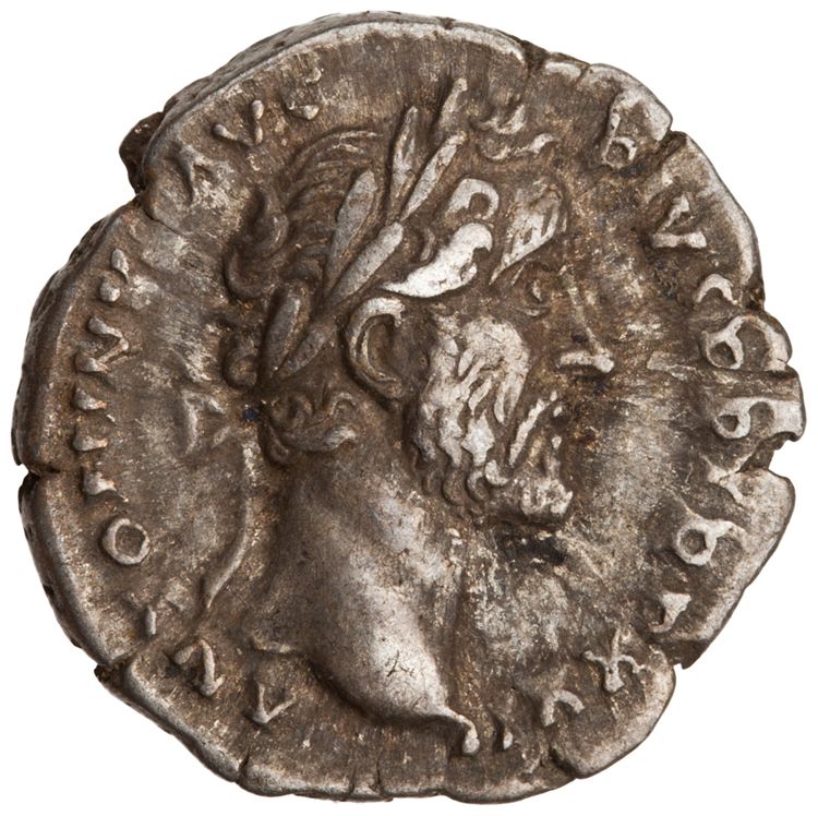 RIC III Antoninus Pius 293A, obverse, American Numismatic Society (ans)