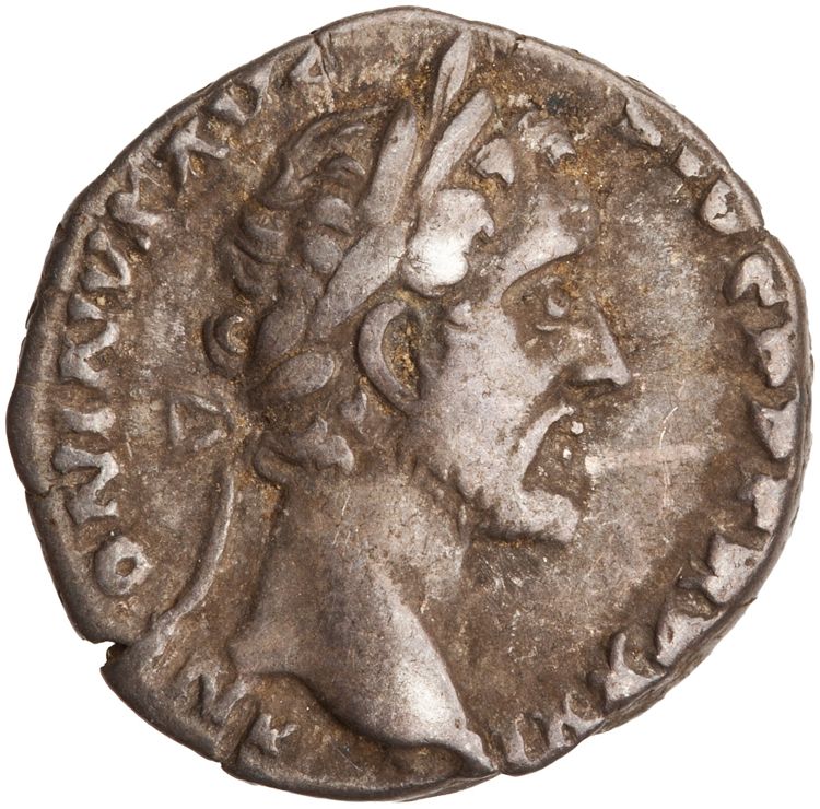 RIC III Antoninus Pius 293A, obverse, American Numismatic Society (ans)
