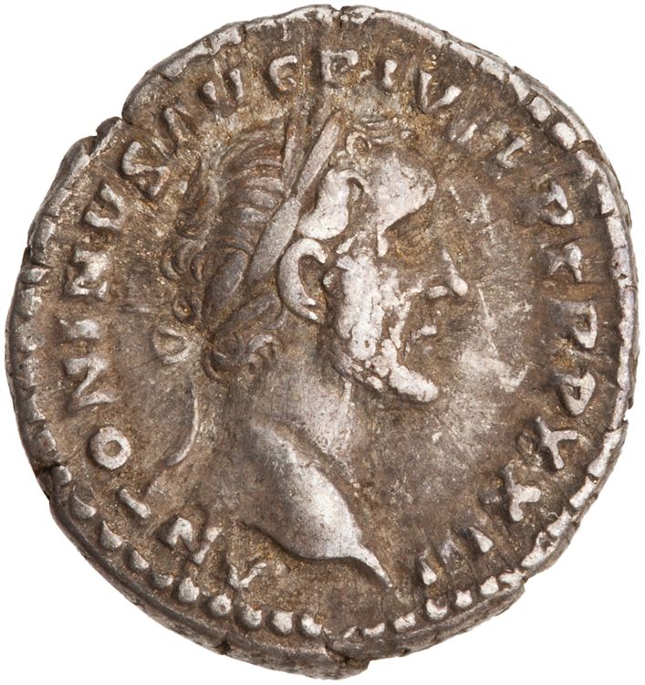 RIC III Antoninus Pius 300A, аверс, American Numismatic Society (ans)