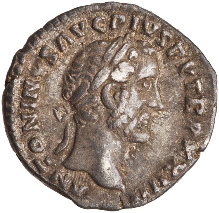 RIC III Antoninus Pius 313C, obverse, American Numismatic Society (ans)