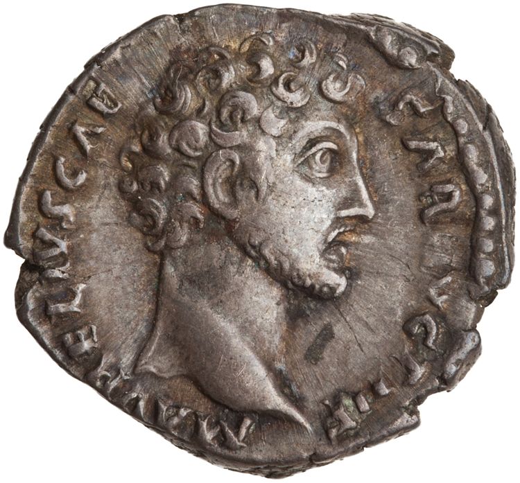 RIC III Antoninus Pius 448D, аверс, American Numismatic Society (ans)
