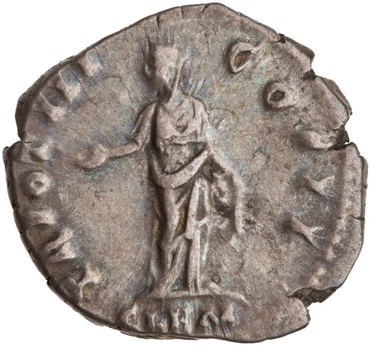 RIC III Antoninus Pius 448D, реверс, American Numismatic Society (ans)