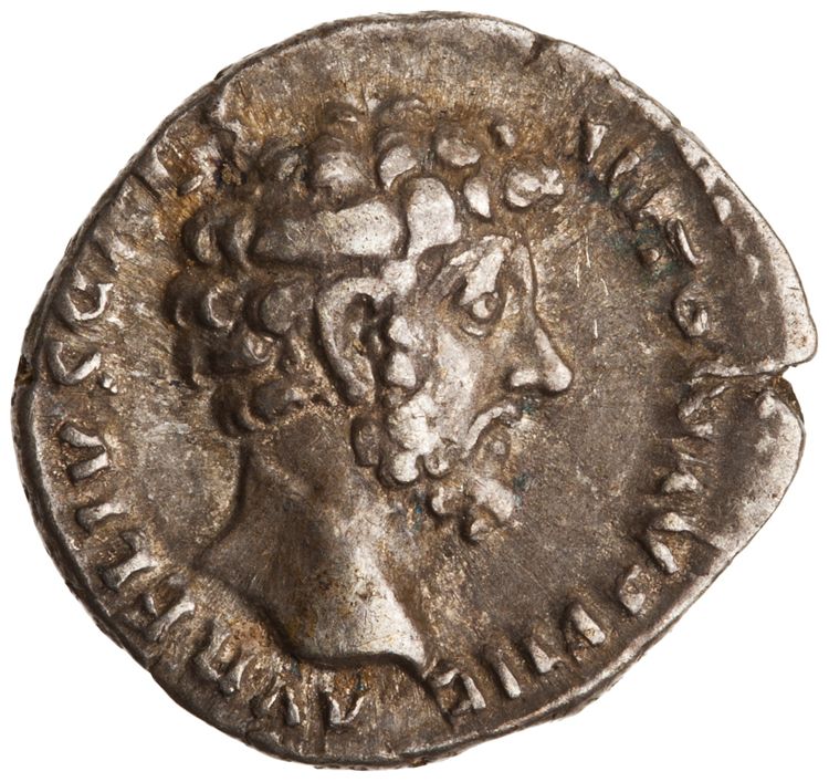RIC III Antoninus Pius 468, аверс, American Numismatic Society (ans)
