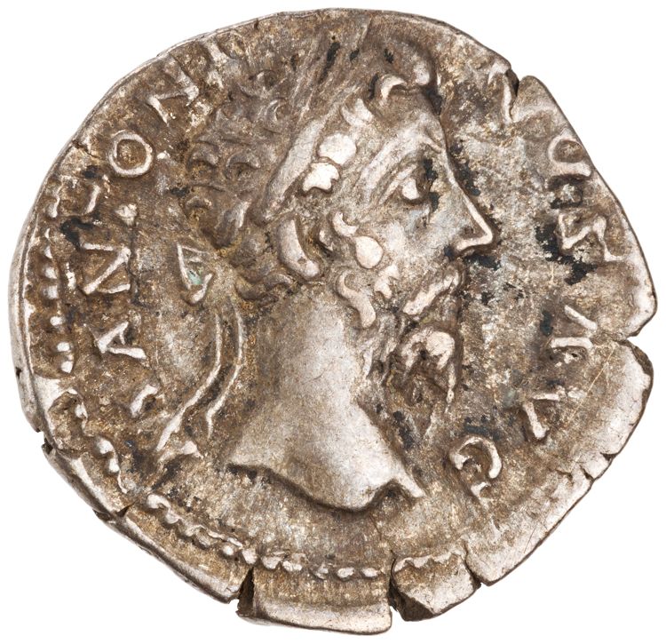 RIC III Marcus Aurelius 421, obverse, American Numismatic Society (ans)
