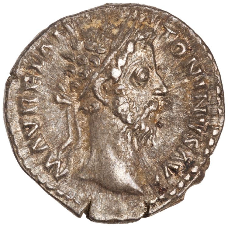 RIC III Marcus Aurelius 384, аверс, American Numismatic Society (ans)