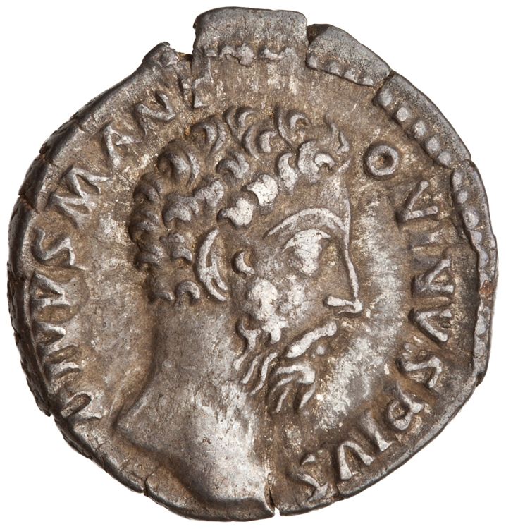 RIC III Commodus 275 (denarius), аверс, American Numismatic Society (ans)