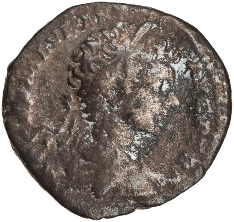 RIC IV Caracalla 25a (denarius), obverse, American Numismatic Society (ans)