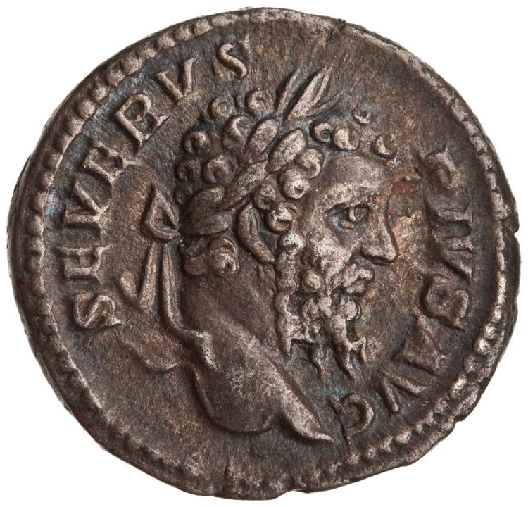 RIC IV Septimius Severus 230, obverse, American Numismatic Society (ans)