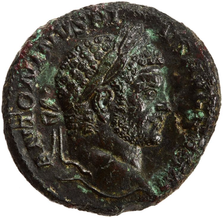 RIC IV Caracalla 568B, аверс, American Numismatic Society (ans)