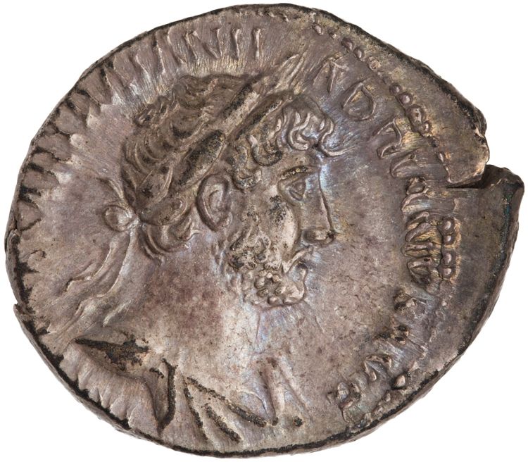 RIC II Hadrian 101b, аверс, American Numismatic Society (ans)