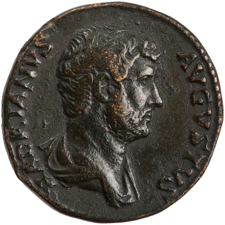 RIC II Hadrian 727c (as), аверс, American Numismatic Society (ans)