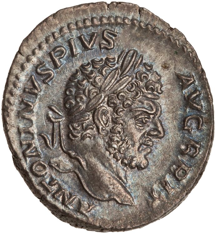 RIC IV Caracalla 223, аверс, American Numismatic Society (ans)