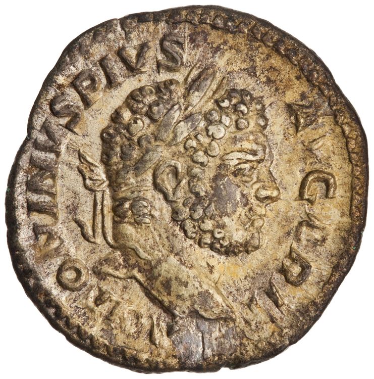 RIC IV Caracalla 194, аверс, American Numismatic Society (ans)