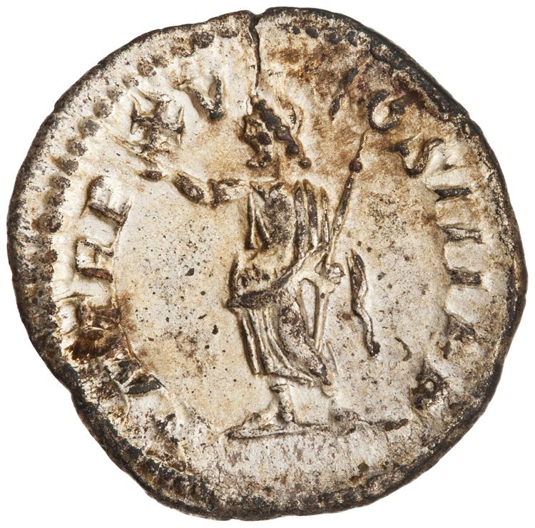 RIC IV Caracalla 194, реверс, American Numismatic Society (ans)