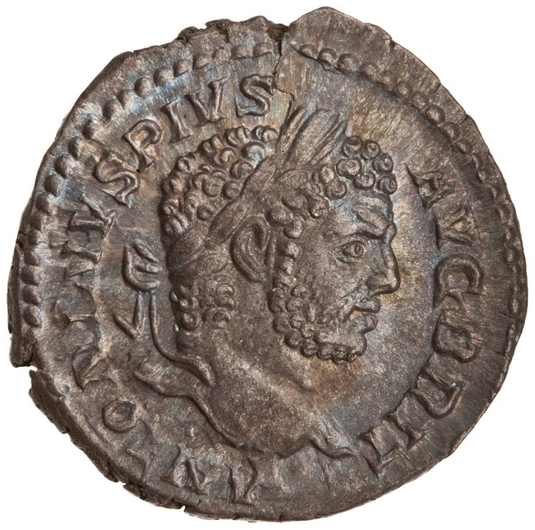 RIC IV Caracalla 196, аверс, American Numismatic Society (ans)