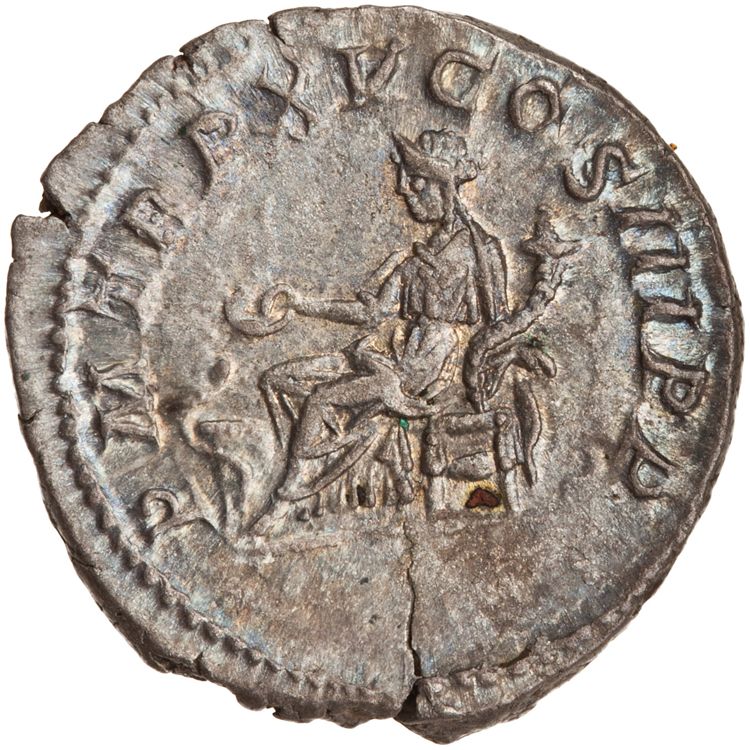 RIC IV Caracalla 196, реверс, American Numismatic Society (ans)