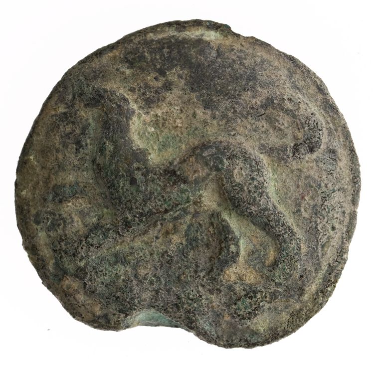 RRC 24/6a, аверс, American Numismatic Society (ans)