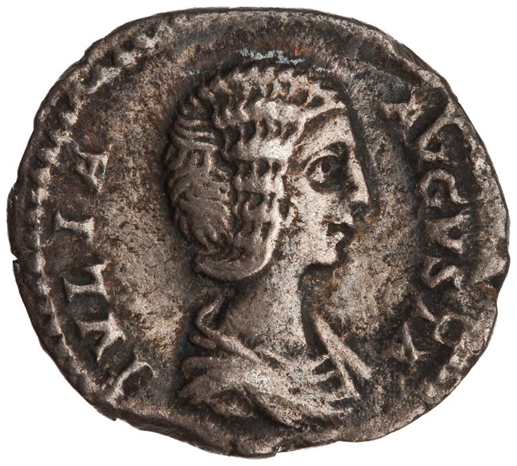 RIC IV Septimius Severus 551, obverse, American Numismatic Society (ans)