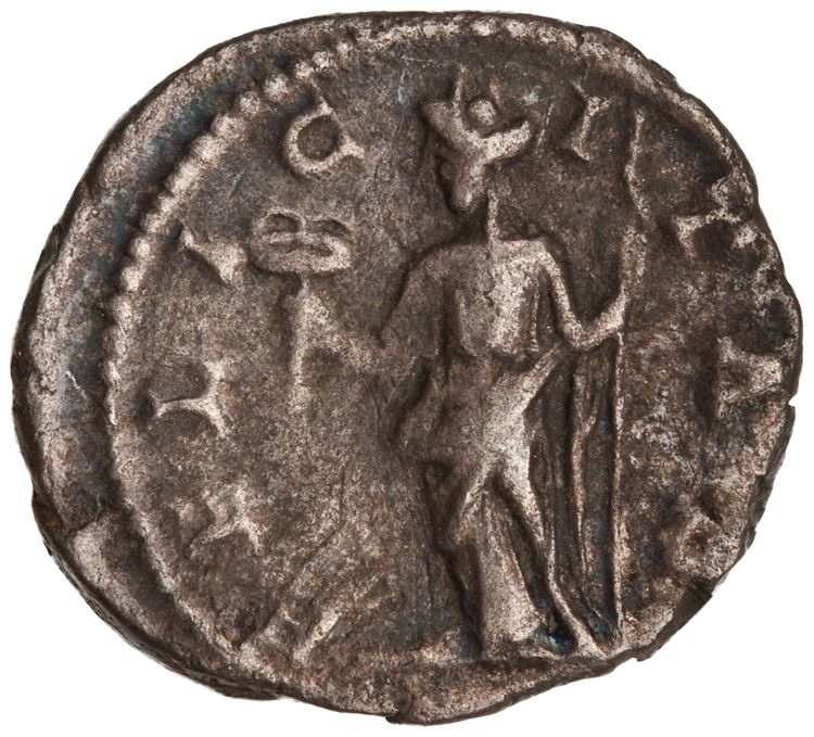 RIC IV Septimius Severus 551, reverse, American Numismatic Society (ans)