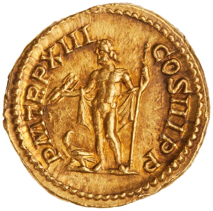 реверс RIC IV Septimius Severus 196 (aureus)
