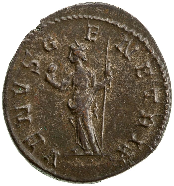 RIC V Carus 337, реверс, American Numismatic Society (ans)