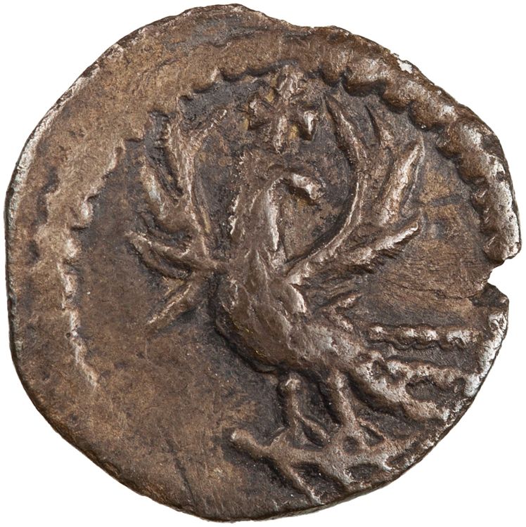 реверс RIC X Zeno (West) 3623