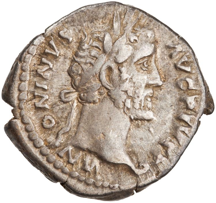 RIC III Antoninus Pius 143 (denarius), аверс, American Numismatic Society (ans)