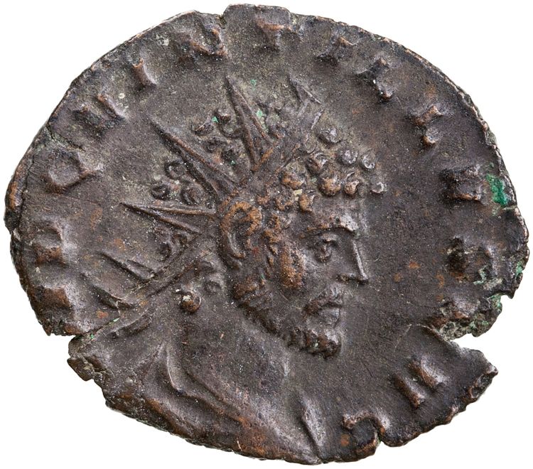 RIC V Quintillus 49, аверс, American Numismatic Society (ans)
