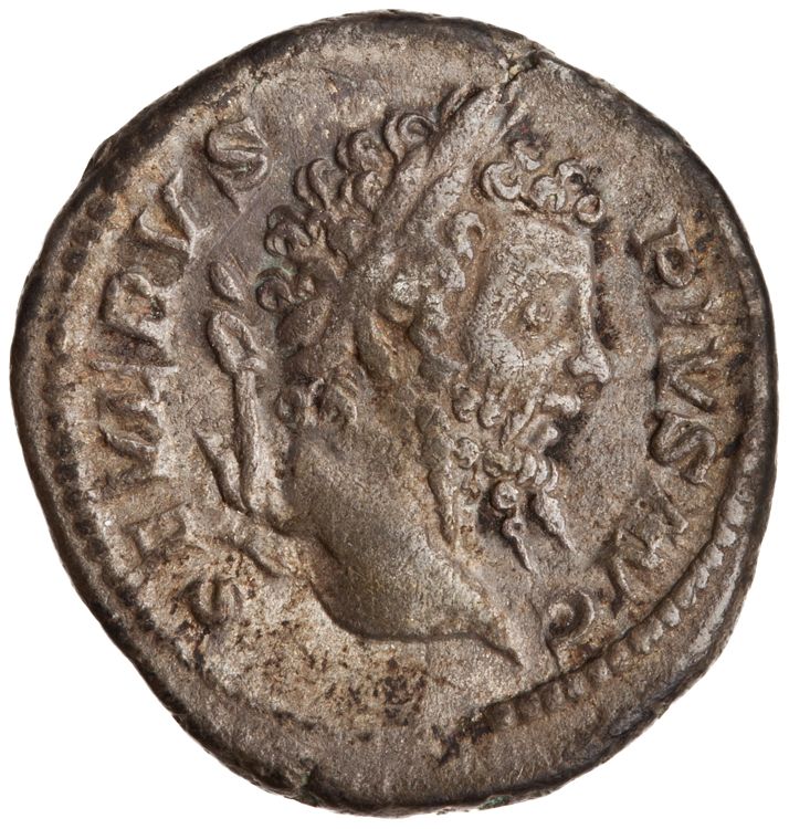 RIC IV Septimius Severus 226, аверс, American Numismatic Society (ans)