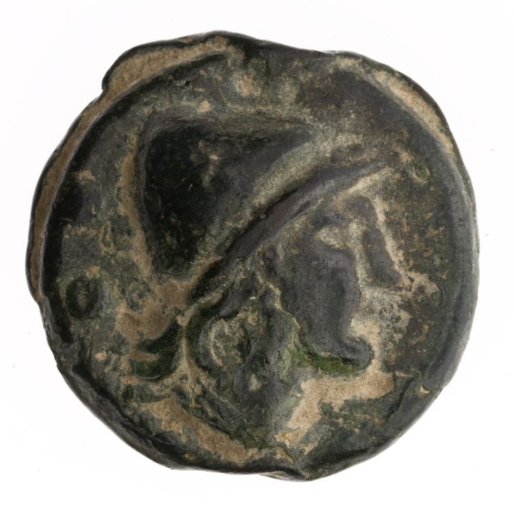 RRC 18/5, реверс, American Numismatic Society (ans)