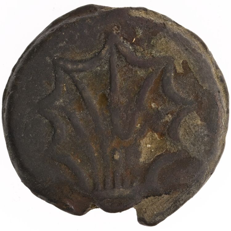 RRC 21/5, реверс, American Numismatic Society (ans)