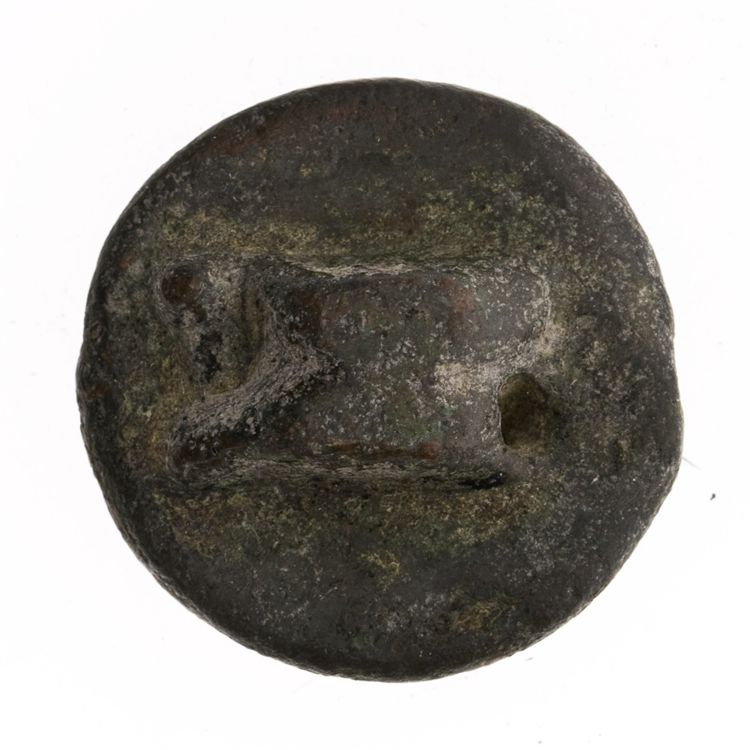 RRC 21/6, аверс, American Numismatic Society (ans)