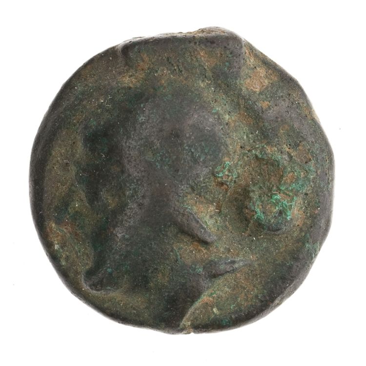 RRC 35/6, аверс, American Numismatic Society (ans)