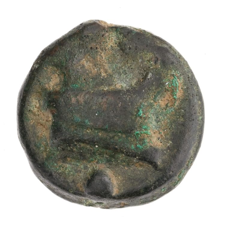 RRC 35/6, реверс, American Numismatic Society (ans)