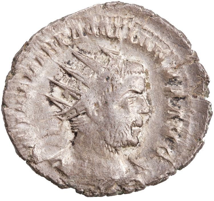 RIC IV Pacatianus 5a, аверс, American Numismatic Society (ans)