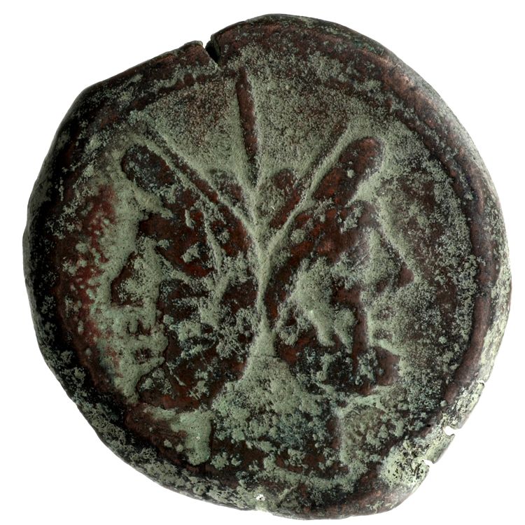 RRC 124/3, obverse, American Numismatic Society (ans)